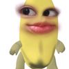 fey00p