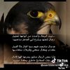 user7287315683502