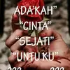 aminbungsu100