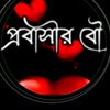 md.mamun.hasan.7