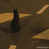 phanboi.._123