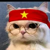 .tlinh009