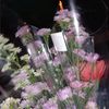 nidaa_112833