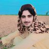 hamzatelar415