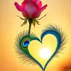 imtiazali3074