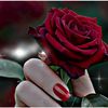 a.i.badsha