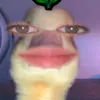 akirha77