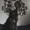 woe_thyraven