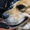 mrgoodboymax