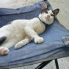 kittithon.srimee