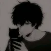 _phongnyn_