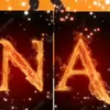emarkasofe