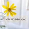 sanaa.saeed27