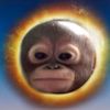 babkavbercax