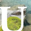 usaoutdoormarket