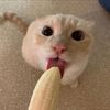 fangger1