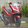 pausdarat461