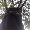 bushra.islam.tanh