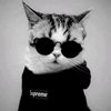 yassir_pes