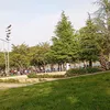 hicham.zorgani4