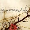 user5401122160009