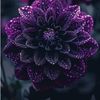 hilal.afghan32