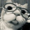 allxd_19