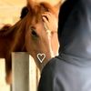 inaabdi025