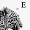 elien4216