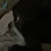 romiohyeah