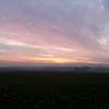 romy_869
