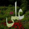 imtiaz.ali.rind61