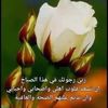 user65681180815817