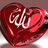 user4609291530653