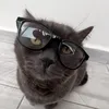 todorthecat