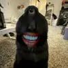 nigertop777