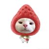 rrywnata_