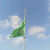 shakir.hussain4507