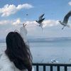 somya.abo.elnsr