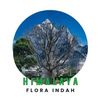 CV Himalaya flora indah