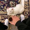 لا اله الا الله ♥️
