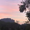 josh_14981