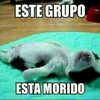 chanelgarcia125