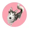 yourfav_huskyx