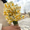 narges9894