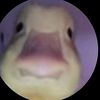ronbbb32
