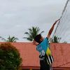 ipulll1124
