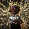 tigar_edits