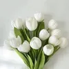 thuha.11_1