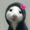 xin.yu814